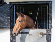 NH051025-77 - Will Carver